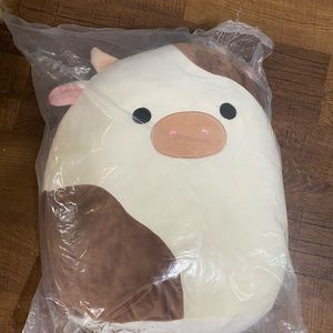 Ronnie “16 Squishmallow